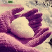 vntop1.xtgem.com